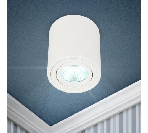 Светильник настенно-потолочный спот OL21 WH MR16/GU10, белый, поворотный  Б0054392  ЭРА