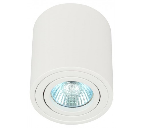 Светильник настенно-потолочный спот OL21 WH MR16/GU10, белый, поворотный  Б0054392  ЭРА