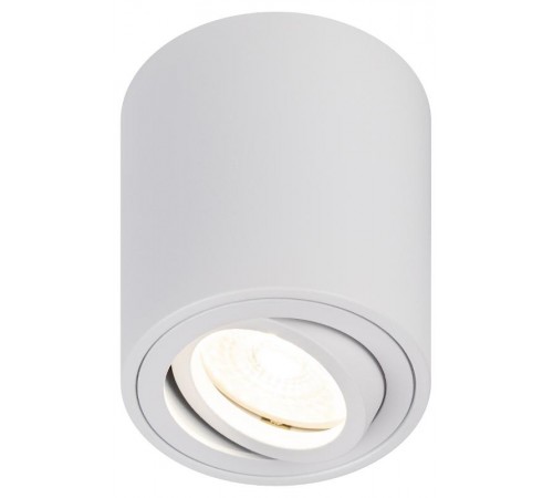 Светильник настенно-потолочный спот OL21 WH MR16/GU10, белый, поворотный  Б0054392  ЭРА