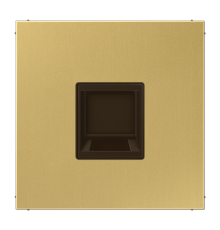 Плата (фиксация защёлкиванием) для одного модуля; металл; латунь Classic  ME1969-15WEC  Jung
