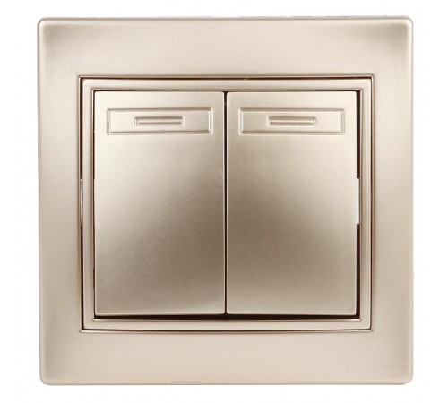 1-104-04 Intro Выключатель двойной, 10А-250В, IP20, СУ, Plano, шампань  Б0030043  Intro