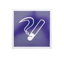 Табличка ПВХ информационный знак "Место курения" 200х200мм  56-0033-2  REXANT