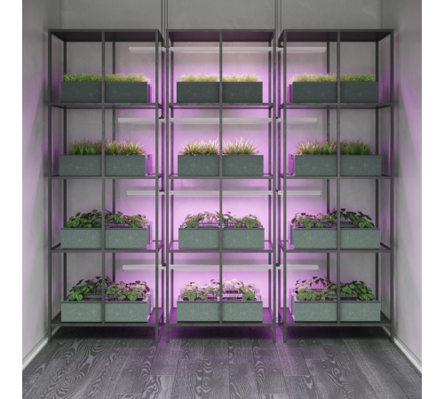 Светильник светодиодный Fito для растений 15W 460lm 175-265V IP20 1175*25*37мм, фиолет спектр LED 1/25 LED 1/25  130411915  Gauss