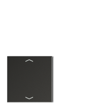 клавиша для выключателя 4 группы в сборе AL2404TSAPAN23 Jung