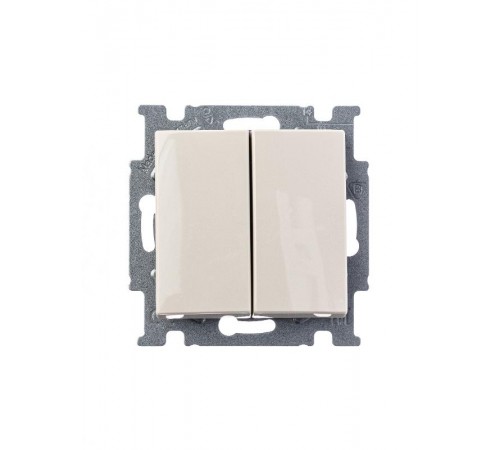 ABB Basic 55 Сл. кость Выключатель 2-х клавишный  1012-0-2148   2CKA001012A2148  ABB