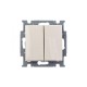 ABB Basic 55 Сл. кость Выключатель 2-х клавишный  1012-0-2148   2CKA001012A2148  ABB