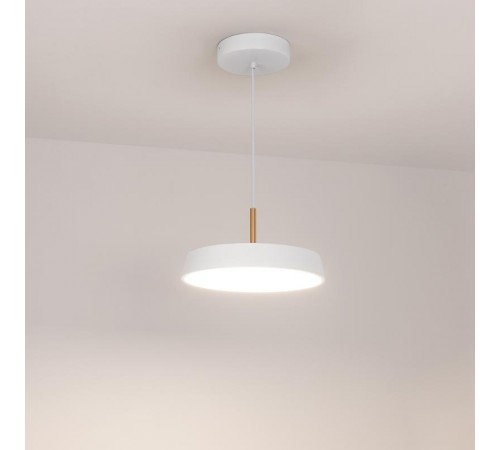 Светильник SP-ELEGANT-R300-17W Day4000 (WH, 120 deg, 230V) (arlight, IP20 Металл, 3 года)  033919  Arlight