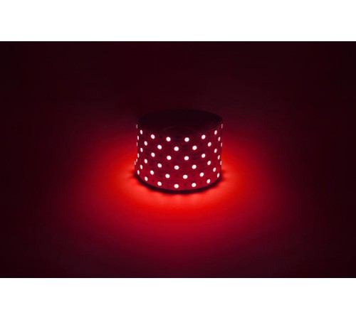 Лента светодиодная  LS5050 -14,4-60-12-R-IP20-1 year-5m красный 5м  Б0059919  ЭРА