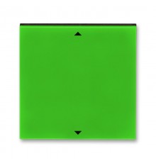 Управляющий элемент Busch-Jalousiecontrol®II ABB Levit с маркировкой зелёный / дымчатый чёрный  2CHH700110A4067  ABB