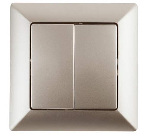 Выключатель Intro Solo 4-104-04 двухклавишный 10А-250В, IP20, СУ, шампань  Б0053588  Intro