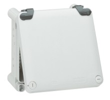 Набор из 2 шарниров - для коробок от 130x130 мм до 270x170 мм  035800  Legrand