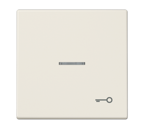 Клавиша для выключателя с символом "Ключ"  LS990KO5T  Jung