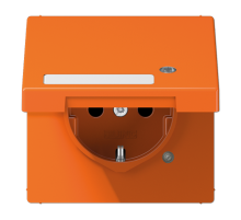 SCHUKO-розетка с крышкой   LS1520NAKLKOO Jung