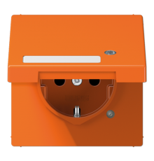 SCHUKO-розетка с крышкой   LS1520NAKLKOO Jung