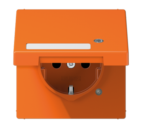 SCHUKO-розетка с крышкой   LS1520NAKLKOO Jung