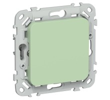 FLITE Заглушка с суппортом ЗГ-ФлФ фисташковый  FI-PL10-K93  IEK