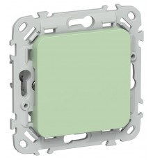 FLITE Заглушка с суппортом ЗГ-ФлФ фисташковый  FI-PL10-K93  IEK