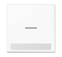 Клавиша для  выключателя с окошком для подсветки и полем для надписи; белая  LS990NAKO5WW  Jung