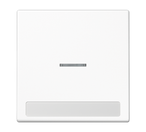 Клавиша для  выключателя с окошком для подсветки и полем для надписи; белая  LS990NAKO5WW  Jung