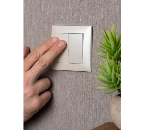 Валенсия лицевая панель выключателя 2-кл. 10А жемчуг EKF PROxima   ESV10-L-023-50   EKF