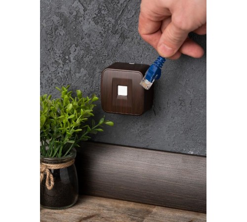 Розетка RJ-45 1-местная ОП Минск, 1А, 120В, тёмное дерево EKF  EGK01-035-40  EKF