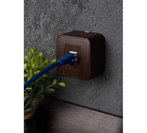 Розетка RJ-45 1-местная ОП Минск, 1А, 120В, тёмное дерево EKF  EGK01-035-40  EKF