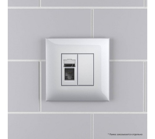 Компьютерная розетка RJ-45 в стену, кат.5e одинарная,"Avanti","Закаленная сталь"  4404463  DKC