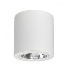 Светильник SP-FOCUS-R140-30W Day White  021428  Arlight