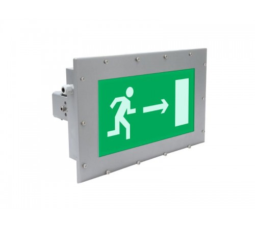 Указатель аварийный светодиодный ALCOR 6623-10 LED AT 4Вт 3ч IP66 постоянный встраиваемый  1502000690  Световые Технологии