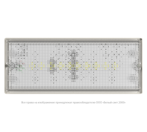 Светильник аварийного освещения BS-UNIVERSAL-83-L1-INEXI3-FELS  a17411  Белый свет
