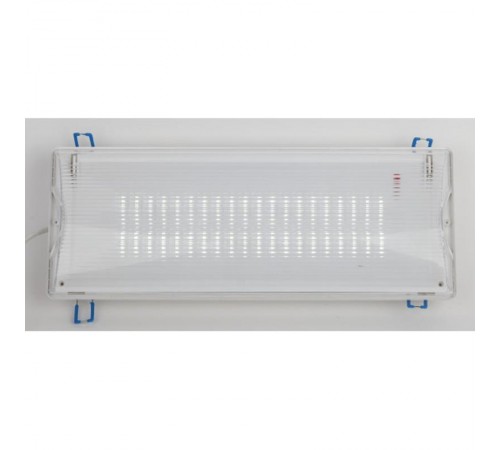 Светильник светодиодный аварийный постоянный 40LED 3ч IP65 NiCD DPA-301-1-65  Б0051843  ЭРА