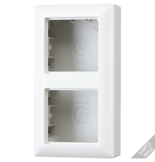 Рамка для вертикальной и горизонтальной установки, 2 поста, накладной монтаж; дюропласт; слоновая кость; AS500  AS582AW  Jung