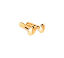 WL18-23-01/ Электроустановочные изделия - Винты для изолятора 10 шт. (золото) Ретро  a038397  Werkel