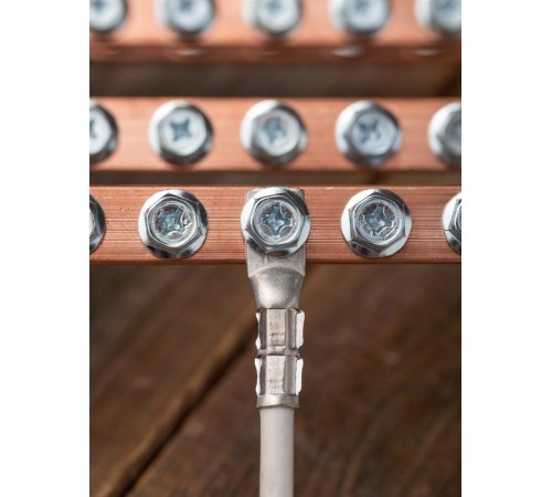 Наконечник медный луженый  ТМЛ 10-6-5 EKF PROxima  tml-10-6-5-g  EKF