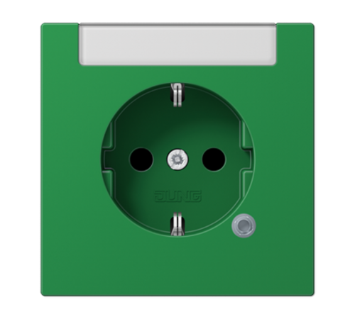 SCHUKO®-розетка 16 A / 250 B ~с индикатором напряжения (светодиод)  LS1520INAKOGN  Jung
