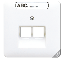 Крышка для сдвоенной телефонной и компютерной розетки  UAE с полем для надписи  569-2NAUA  Jung