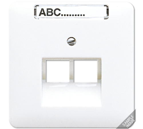 Крышка для сдвоенной телефонной и компютерной розетки  UAE с полем для надписи  569-2NAUA  Jung