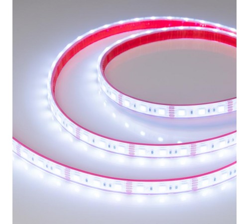 Лента светодиодная герметичная RTW-PFS-B60-13mm 12V RGB (14.4 W/m, IP68, 5060, 5m) (arlight, -)  033790  Arlight