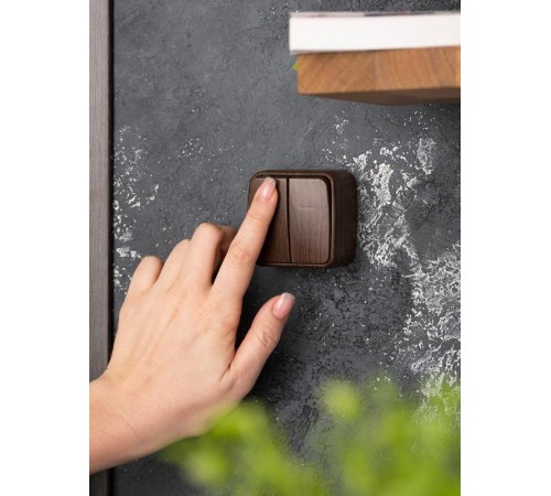 Выключатель 2-клавишный ОП Минск 10А тёмное дерево EKF  EGV10-023-40  EKF