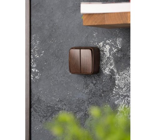 Выключатель 2-клавишный ОП Минск 10А тёмное дерево EKF  EGV10-023-40  EKF