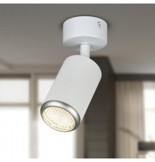 Светильник настенно-потолочный спот  OL55 WH/SL MR16 GU10 IP20 белый/серебро   Б0061890  ЭРА
