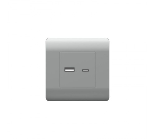 Розетка USB A+С, 5В/2,1А, серебряный(NEW3-E)  431451  CHINT