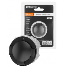 Выключатель карточный 250В 8кВт агат, "Байкал"   SQ1819-0251  TDM