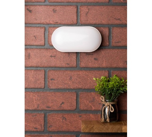 Светильник светодиодный ЖКХ овал ДПО-2004 8Вт 4000K IP65  EKF PROxima  BKL-2004-V-8-4000  EKF