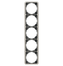 Рамка для вертикальной и горизонтальной установки, 5-кратная; платина  CD585PT  Jung