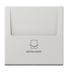 Накладка-картодержатель для балансирных механизмов 531U, 532U, 533U, 534U; термопласт; светло-серый; LS990  LS590CARDLG  Jung