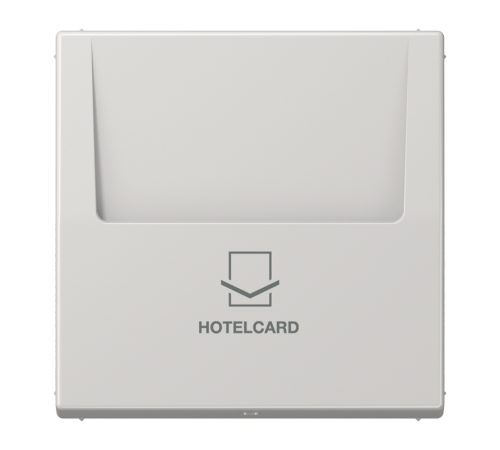 Накладка-картодержатель для балансирных механизмов 531U, 532U, 533U, 534U; термопласт; светло-серый; LS990  LS590CARDLG  Jung