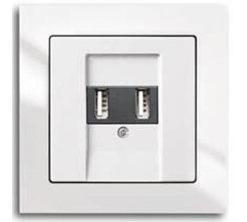 Устройство зарядное 6472 U-500-101, два USB разъема, 3000 мА (2x1500 мА)  2CKA006400A0094  ABB