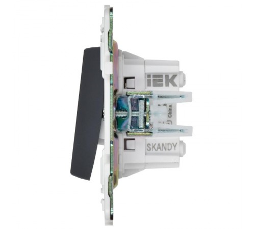 SKANDY Выключатель 2-клавишный перекрестный 10А SK-V06T титан   SK-V23-0-10-K48  IEK