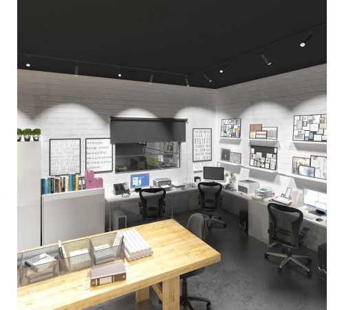 Светильник светодиодный трековый LTB28 Oskar Черный 10W 4200K  a040964  Elektrostandard